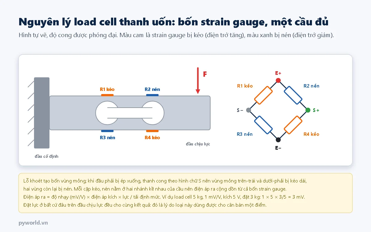 Nguyên lý load cell thanh uốn có lỗ ống nhòm: một đầu cố định, lực F đặt ở đầu kia, bốn strain gauge ở bốn vùng mỏng trên và dưới hai lỗ, hai cái bị kéo và hai cái bị nén, nối thành cầu Wheatstone đủ với các nút E cộng, E trừ, S cộng, S trừ