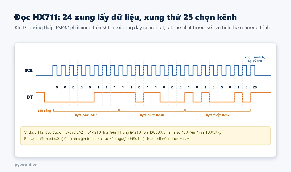 Giản đồ xung đọc HX711: chân DT xuống thấp báo có dữ liệu, ESP32 phát 24 xung trên SCK để lấy 24 bit từ bit cao nhất, xung thứ 25 chọn kênh A hệ số 128; ví dụ ba byte 0x07, 0xD8, 0xA2 bằng 514210