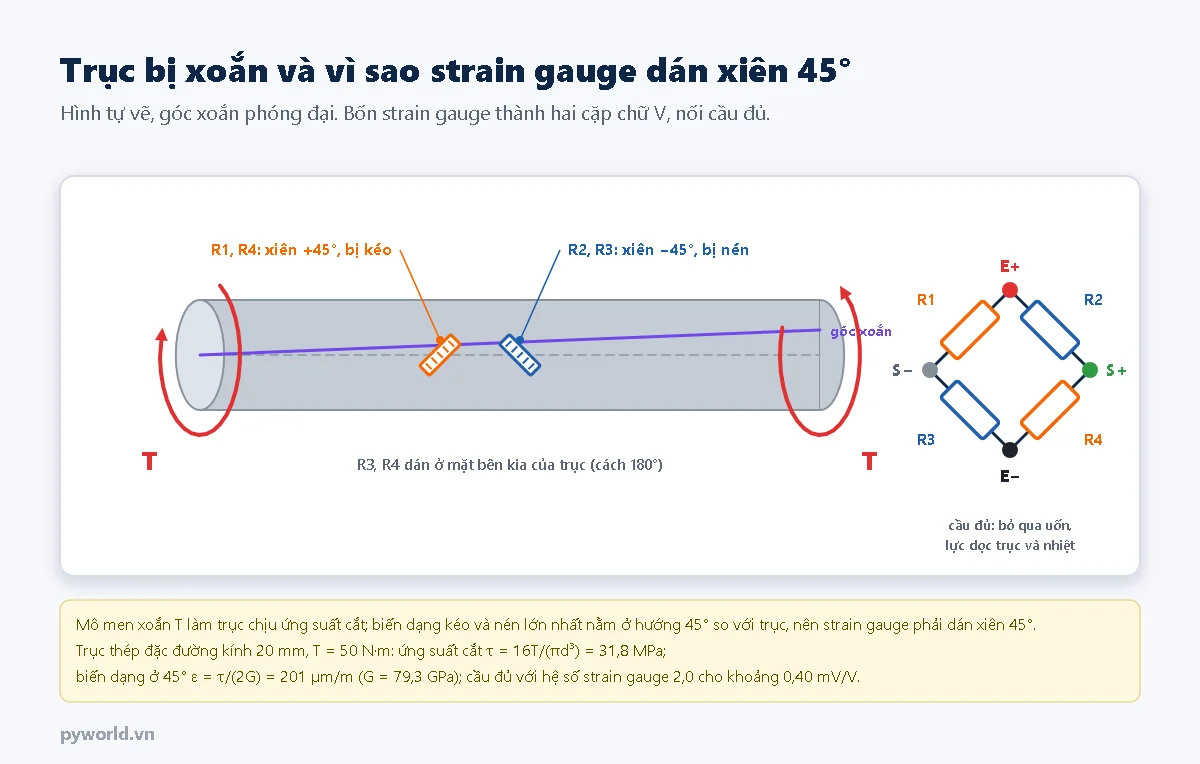 Trục thép bị hai mô men xoắn ngược chiều ở hai đầu, đường sinh bị xoắn lệch đi một góc, hai strain gauge dán xiên cộng 45 và trừ 45 độ, cầu Wheatstone đủ bốn nhánh, kèm ví dụ trục 20 mm chịu 50 N·m có ứng suất cắt 31,8 MPa và biến dạng 201 micromet trên mét