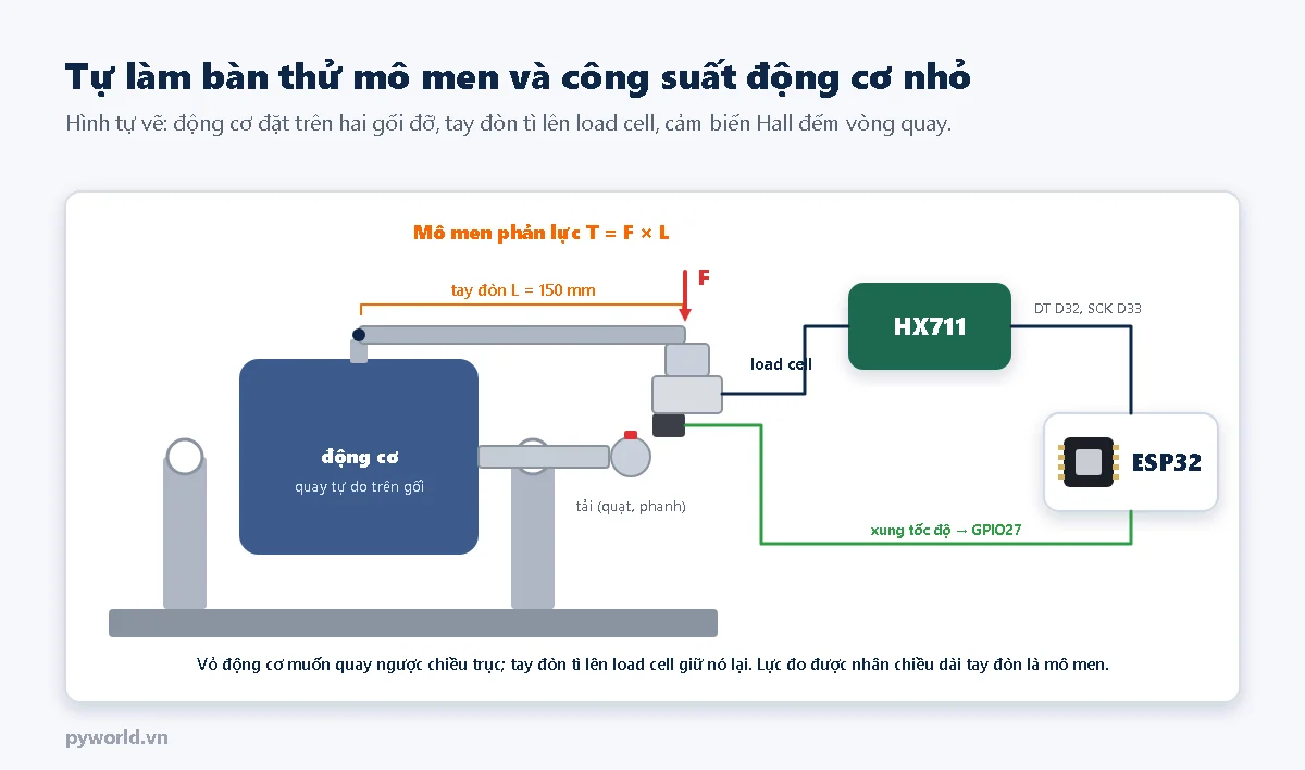 Bàn thử mô men tự làm: động cơ đặt trên hai gối đỡ quay tự do, tay đòn dài 150 mm gắn vào vỏ động cơ tì lên load cell, cảm biến Hall đọc nam châm trên trục; load cell nối HX711 vào chân D32, D33 của ESP32, xung tốc độ vào GPIO27