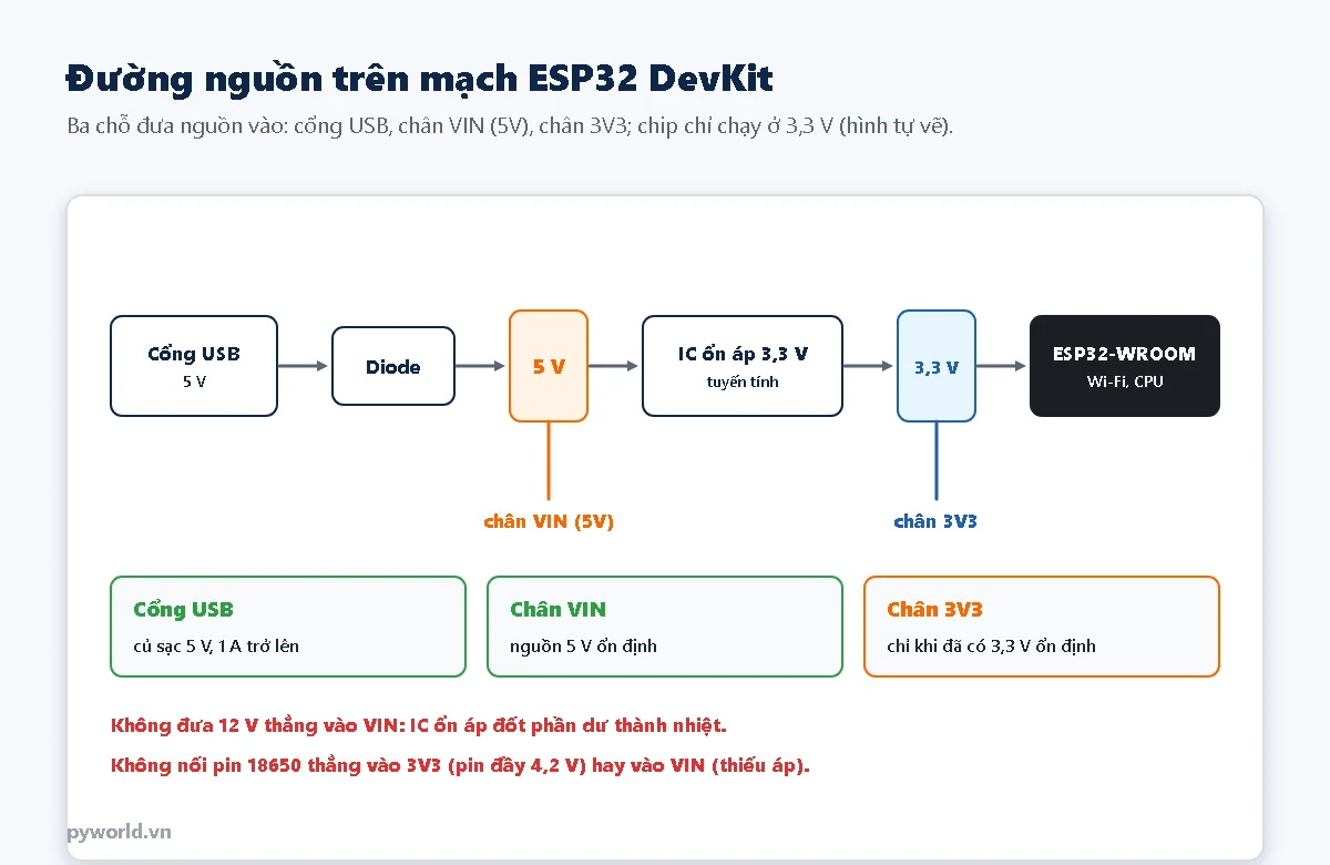 Sơ đồ đường nguồn trên mạch ESP32 DevKit: cổng USB 5 V qua diode tới chân VIN, IC ổn áp tuyến tính hạ xuống 3,3 V ở chân 3V3 rồi cấp cho module ESP32-WROOM
