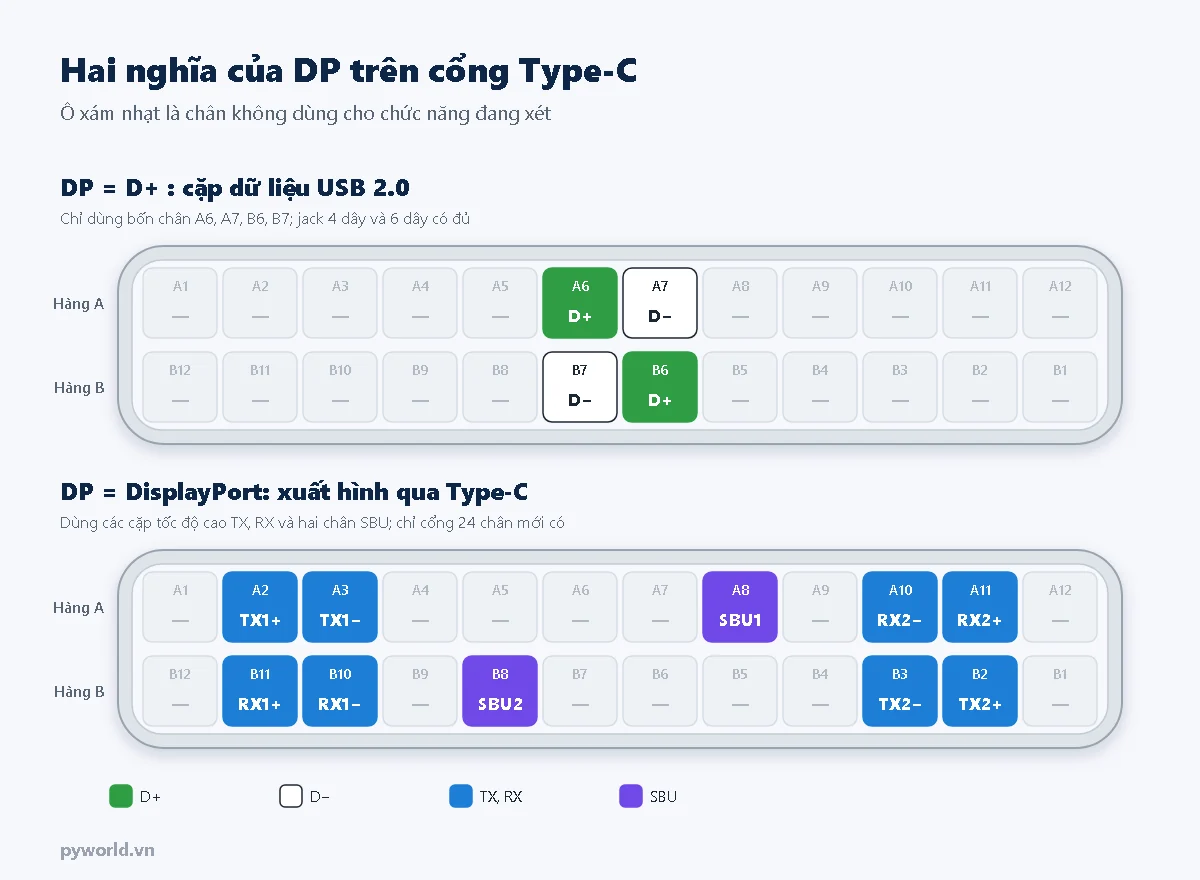 Hai sơ đồ chân cổng USB Type-C: phía trên tô bốn chân D+ D− của USB 2.0, phía dưới tô các chân TX, RX và SBU dùng cho DisplayPort