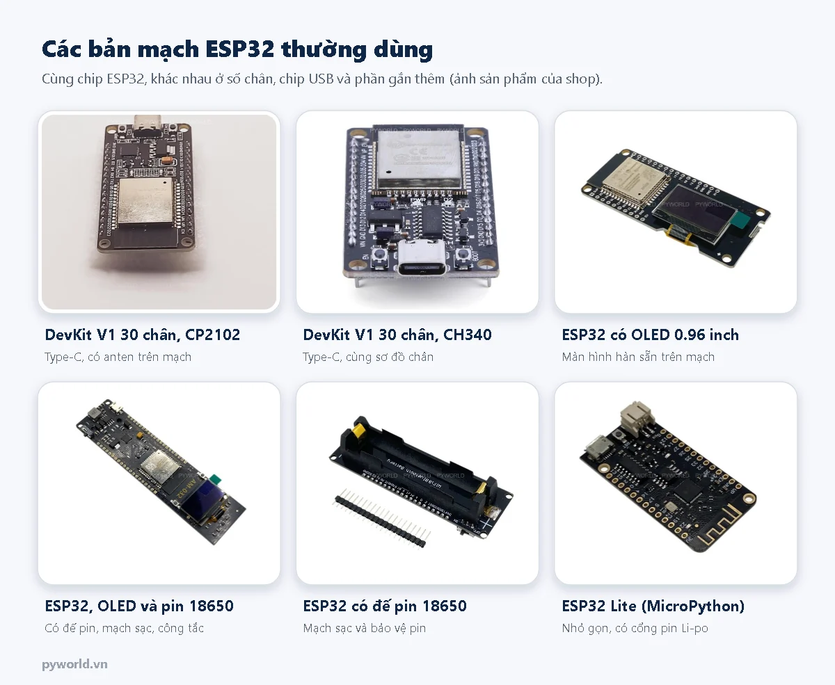 Sáu bản mạch ESP32: DevKit V1 30 chân CP2102 Type-C, DevKit V1 30 chân CH340, ESP32 có màn hình OLED 0.96 inch, ESP32 có OLED và pin 18650, ESP32 có đế pin 18650, ESP32 Lite MicroPython