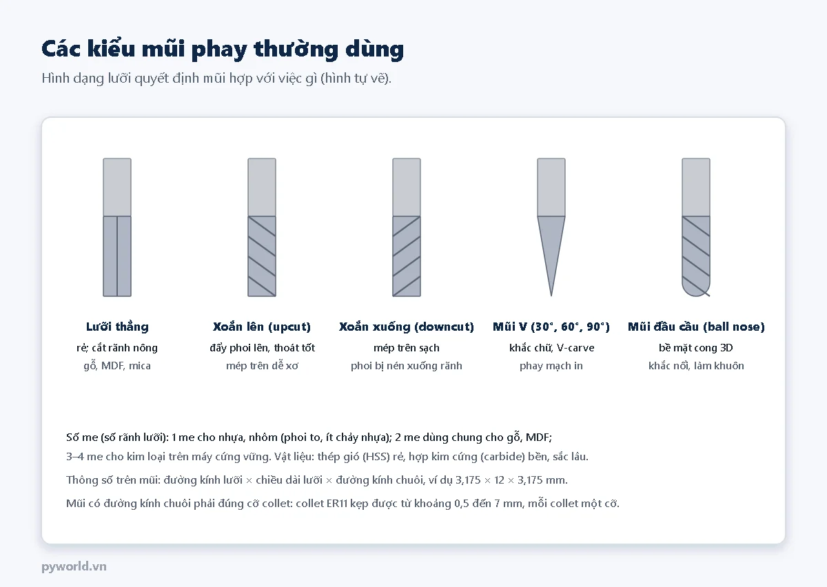 Năm kiểu mũi phay: lưỡi thẳng cắt rãnh nông, xoắn lên đẩy phoi lên, xoắn xuống cho mép trên sạch, mũi V khắc chữ và phay mạch in, mũi đầu cầu phay bề mặt cong 3D
