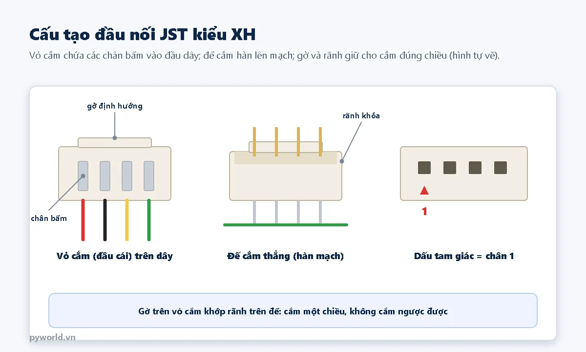 Cấu tạo đầu nối JST kiểu XH: vỏ cắm có chân bấm và gờ định hướng, đế cắm thẳng hàn mạch có rãnh khóa, dấu tam giác chỉ chân 1