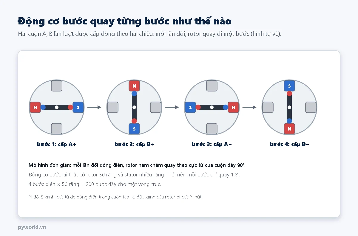 Bốn hình mô hình động cơ hai pha: bước 1 cấp A dương rotor nằm ngang, bước 2 cấp B dương rotor quay lên trên, bước 3 cấp A âm rotor nằm ngang ngược lại, bước 4 cấp B âm rotor quay xuống dưới