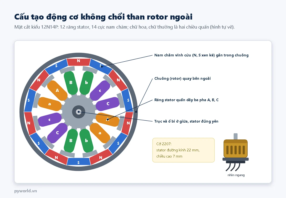 Mặt cắt động cơ không chổi than rotor ngoài kiểu 12N14P: vòng 14 nam châm N S xen kẽ trong chuông quay, 12 răng stator quấn dây ba pha A B C màu cam, xanh lá, tím, trục ở giữa; bên cạnh là hình nhìn ngang và ghi chú cỡ 2207 nghĩa là stator đường kính 22 mm cao 7 mm