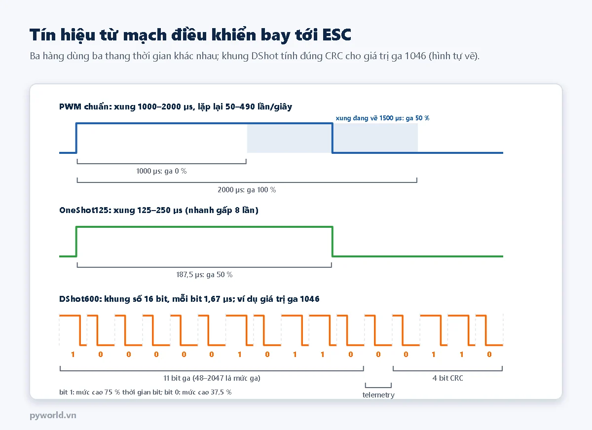 Ba dạng sóng: PWM chuẩn với xung 1000 đến 2000 micro giây, xung đang vẽ 1500 micro giây là ga 50 phần trăm; OneShot125 xung 187,5 micro giây ga 50 phần trăm; DShot600 khung 16 bit gồm 11 bit ga 10000010110, 1 bit telemetry 0 và 4 bit CRC 0110