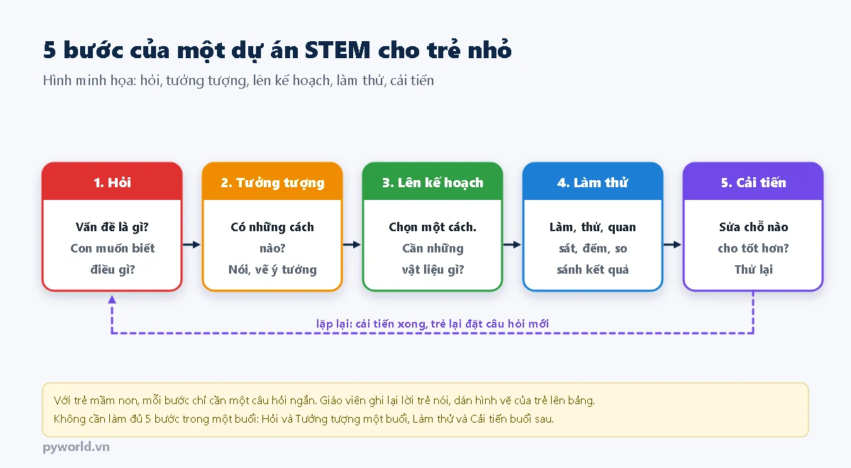 Năm bước dự án STEM cho trẻ nhỏ nối bằng mũi tên: 1 Hỏi vấn đề là gì, 2 Tưởng tượng có những cách nào, 3 Lên kế hoạch chọn một cách và vật liệu, 4 Làm thử quan sát đếm so sánh, 5 Cải tiến sửa chỗ nào cho tốt hơn; mũi tên nét đứt từ bước 5 quay về bước 1