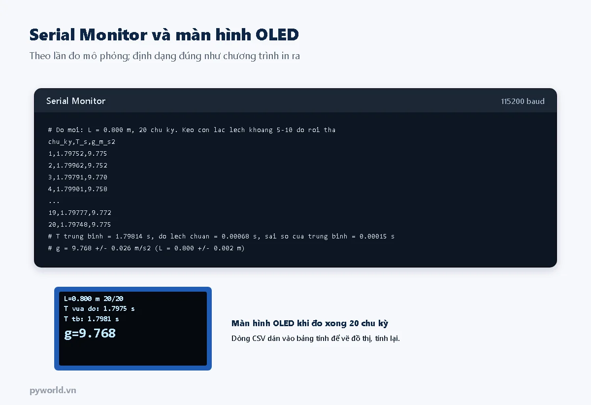 Serial Monitor in dòng CSV từng chu kỳ và hai dòng tổng kết chu kỳ trung bình, g bằng 9,768 cộng trừ 0,026 m/s²; màn hình OLED hiện chiều dài, số chu kỳ 20/20, chu kỳ vừa đo, chu kỳ trung bình và g