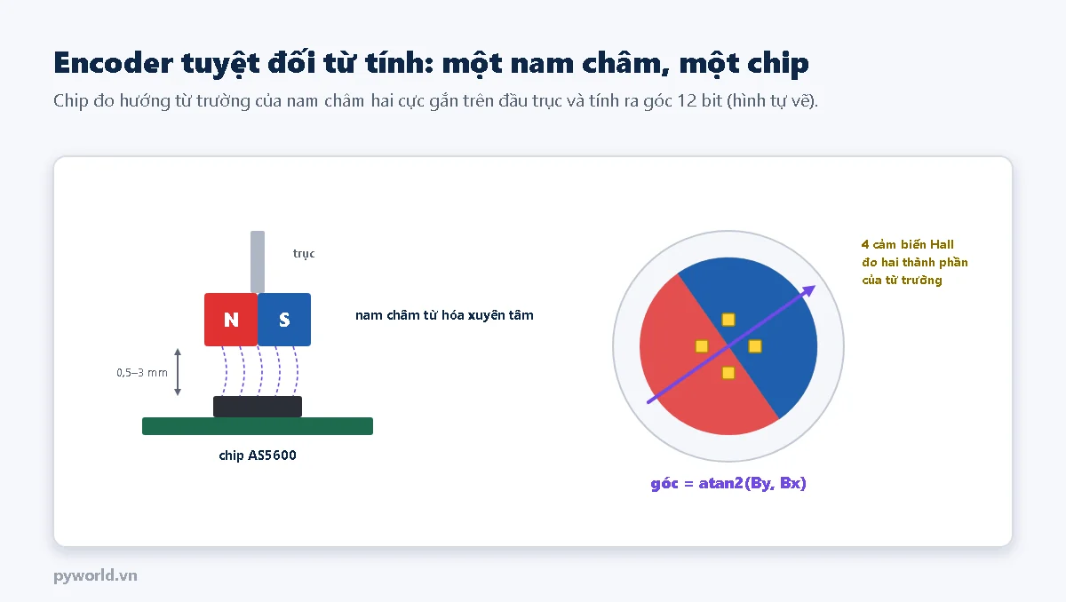 Encoder tuyệt đối từ tính: nhìn nghiêng là nam châm từ hóa xuyên tâm hai cực N và S gắn trên đầu trục, cách chip AS5600 từ 0,5 đến 3 mm; nhìn từ trên là nam châm hai nửa đỏ xanh với bốn cảm biến Hall quanh tâm chip và vectơ từ trường, góc bằng atan2 của By và Bx
