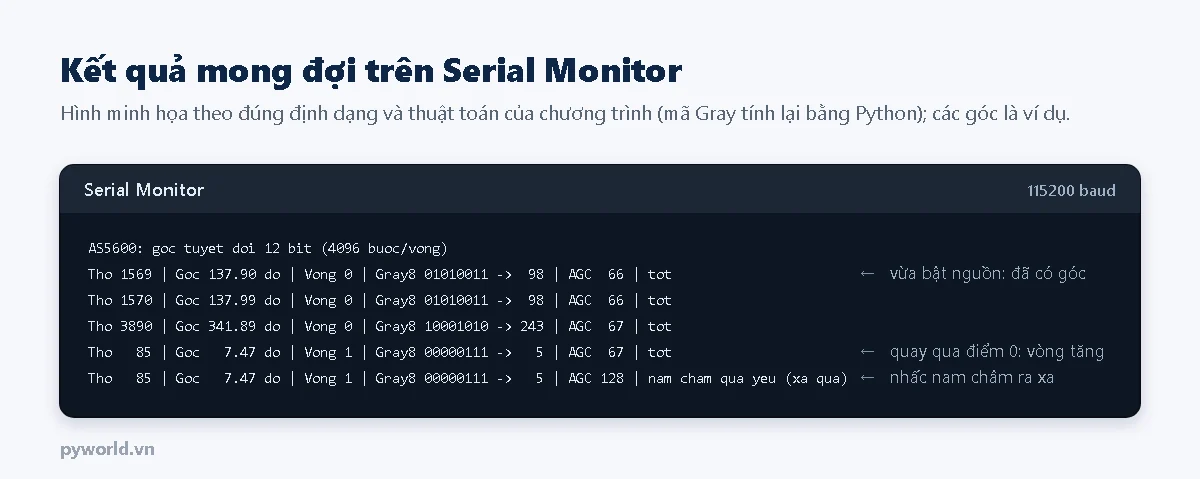 Hình minh họa Serial Monitor đọc AS5600 bằng ESP32: góc thô, góc theo độ, số vòng, mã Gray 8 bit và giá trị đổi ngược, hệ số AGC và trạng thái nam châm; số vòng tăng khi quay qua điểm 0; báo nam châm quá yếu khi nhấc ra xa