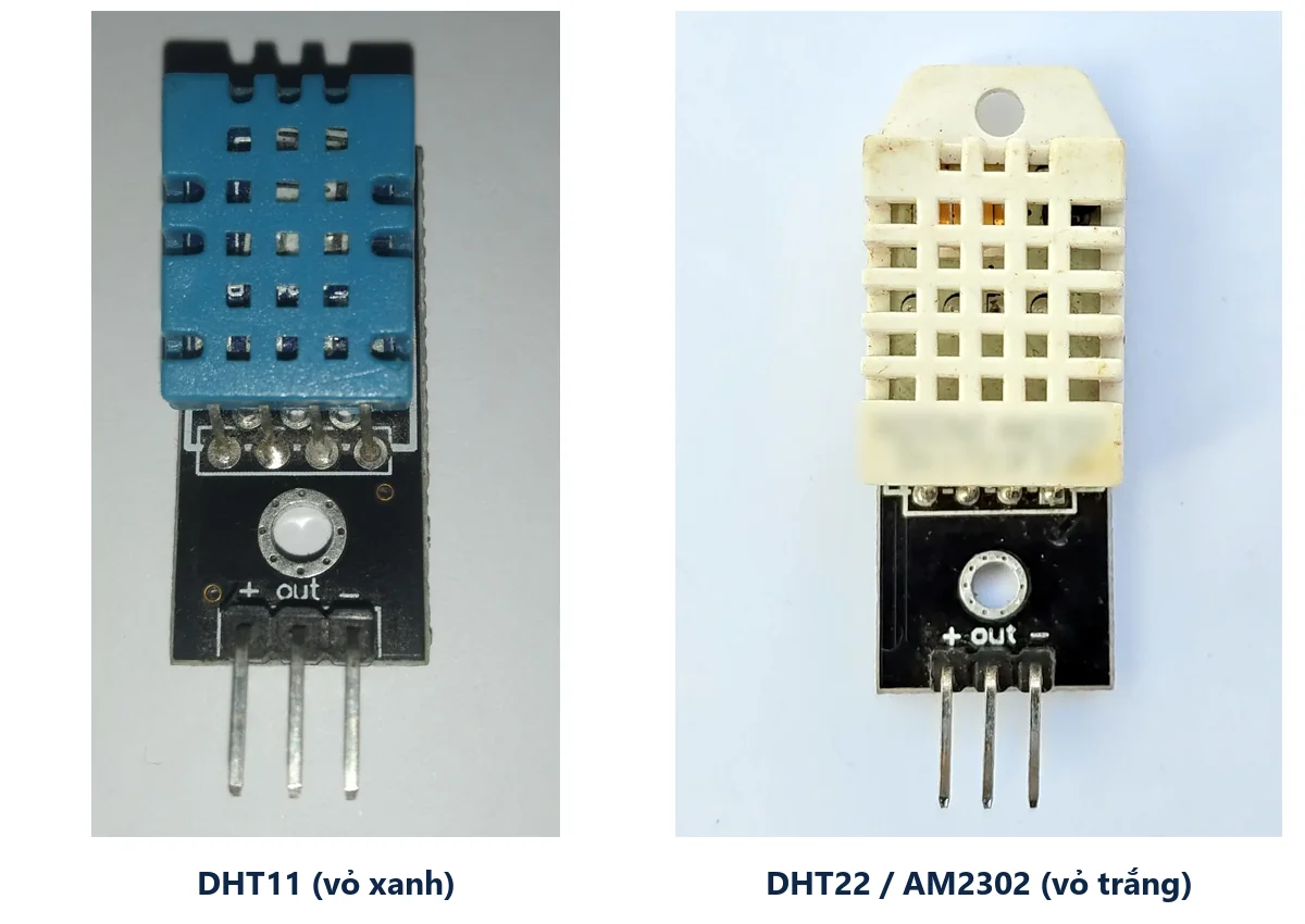 Module cảm biến DHT11 vỏ xanh và module DHT22 vỏ trắng, mỗi module có ba chân ghi dấu cộng, out và dấu trừ