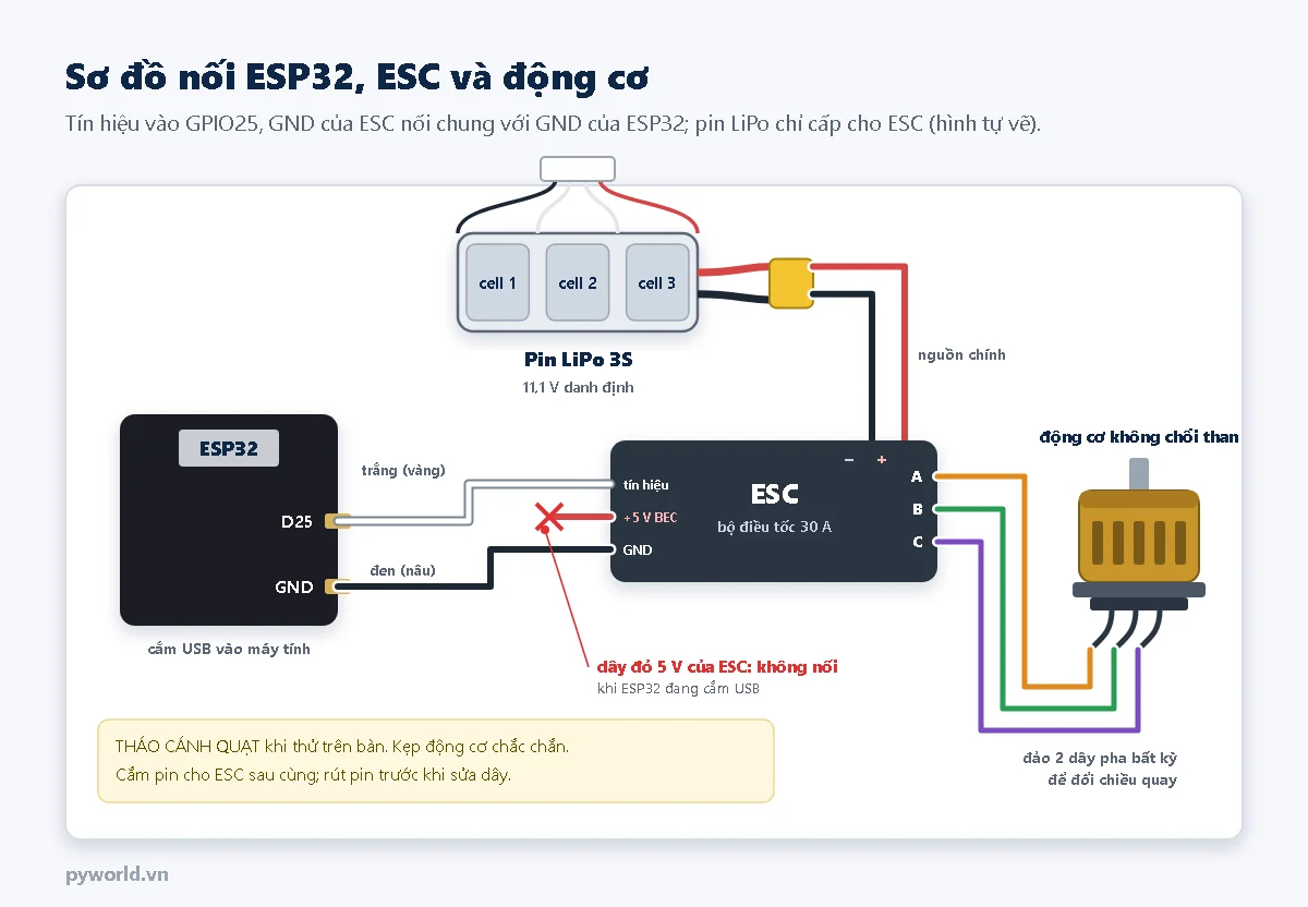 Sơ đồ nối: pin LiPo 3S cấp nguồn cho ESC, ba dây pha A B C từ ESC sang động cơ không chổi than, dây tín hiệu trắng của ESC vào D25 của ESP32, dây đen vào GND, dây đỏ 5 V của ESC để trống không nối khi ESP32 cắm USB