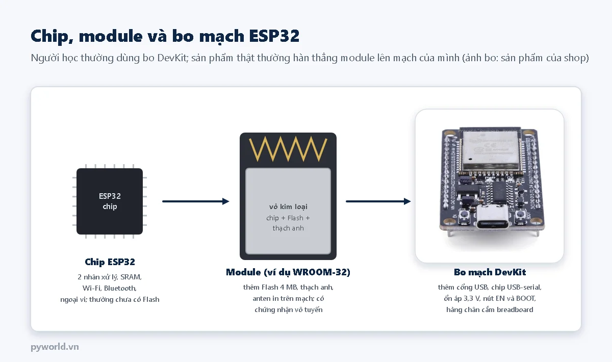 Ba bước: chip ESP32 trần; module có vỏ kim loại chứa chip, Flash, thạch anh và anten in trên mạch; bo mạch DevKit có cổng USB, chip USB-serial, ổn áp, nút EN và BOOT