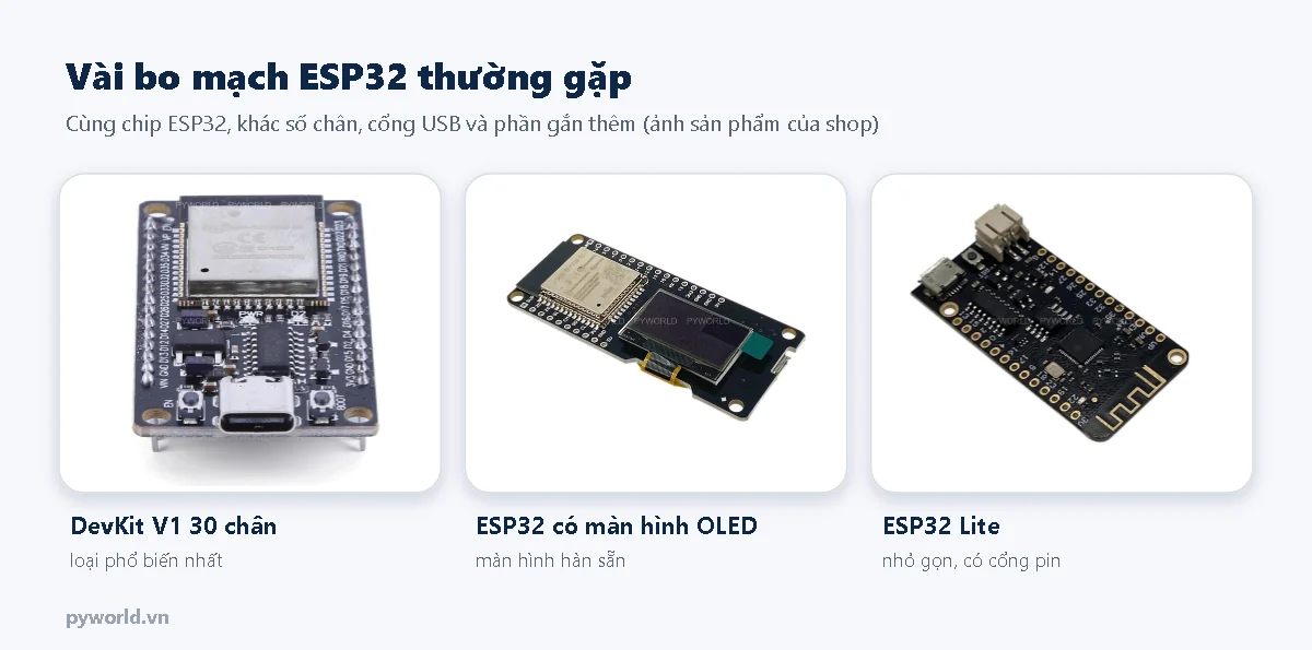 Ba ảnh: ESP32 DevKit V1 30 chân, mạch ESP32 có màn hình OLED hàn sẵn, mạch ESP32 Lite nhỏ gọn có cổng pin