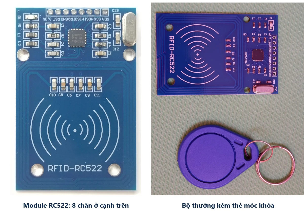 Module RFID RC522 màu xanh có cuộn anten in trên mạch và hàng 8 chân SDA SCK MOSI MISO IRQ GND RST 3.3V, bên cạnh là module tím và thẻ móc khóa RFID