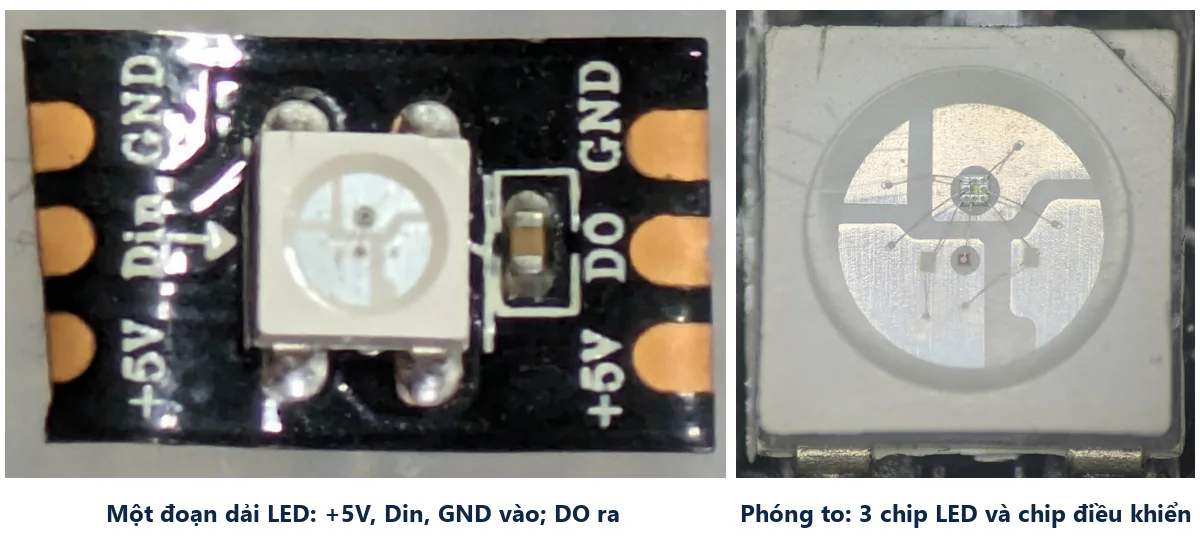 Một đoạn dải LED WS2812B có các chân +5V, Din, GND ở đầu vào và DO ở đầu ra, bên cạnh là ảnh phóng to một bóng LED thấy ba chip LED và chip điều khiển