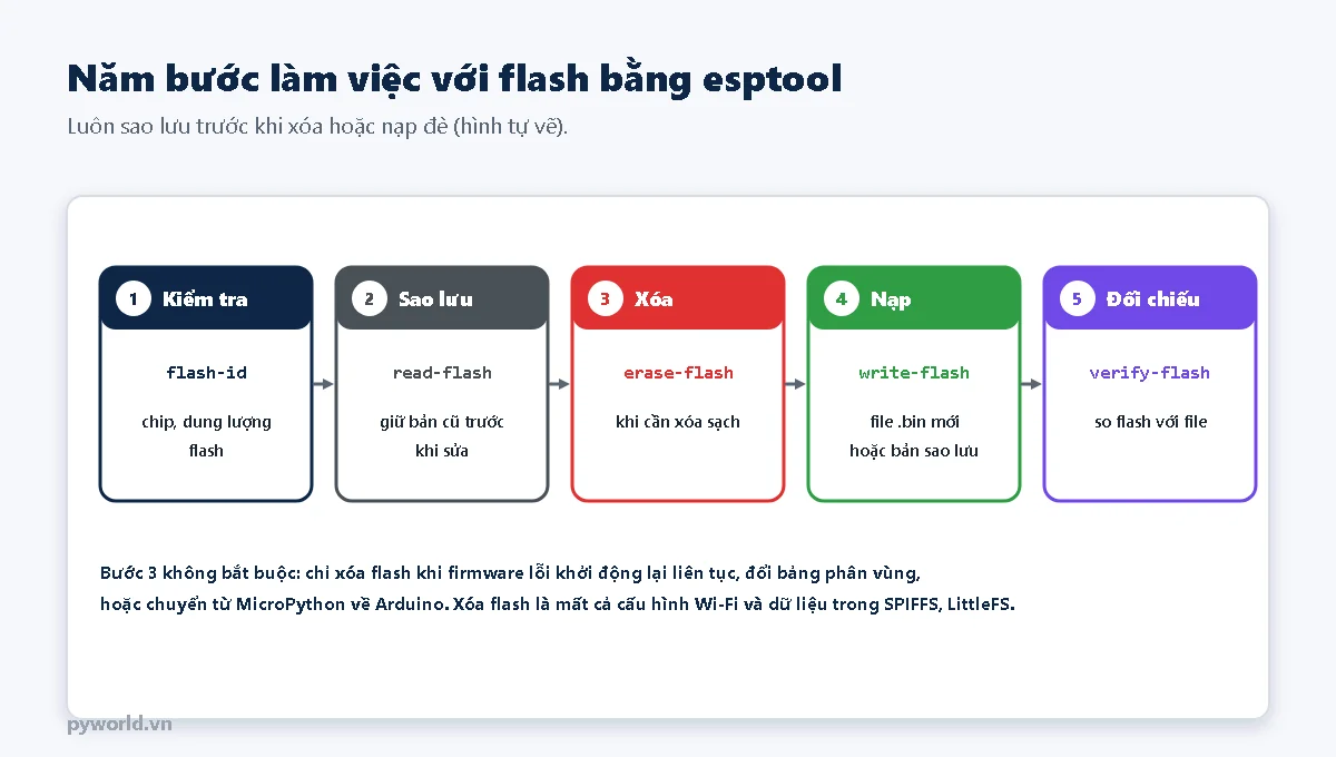 Năm bước dùng esptool: kiểm tra bằng flash-id, sao lưu bằng read-flash, xóa bằng erase-flash, nạp bằng write-flash, đối chiếu bằng verify-flash