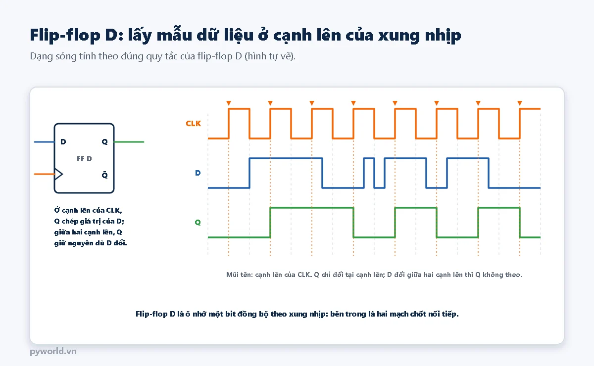 Bên trái khối flip-flop D với đầu vào D, đầu vào xung nhịp CLK có hình tam giác, ngõ ra Q và Q đảo; bên phải ba dạng sóng CLK, D, Q: Q chỉ đổi tại các cạnh lên của CLK được đánh dấu mũi tên, lấy theo giá trị D lúc đó; khi D có xung ngắn giữa hai cạnh lên, Q không đổi