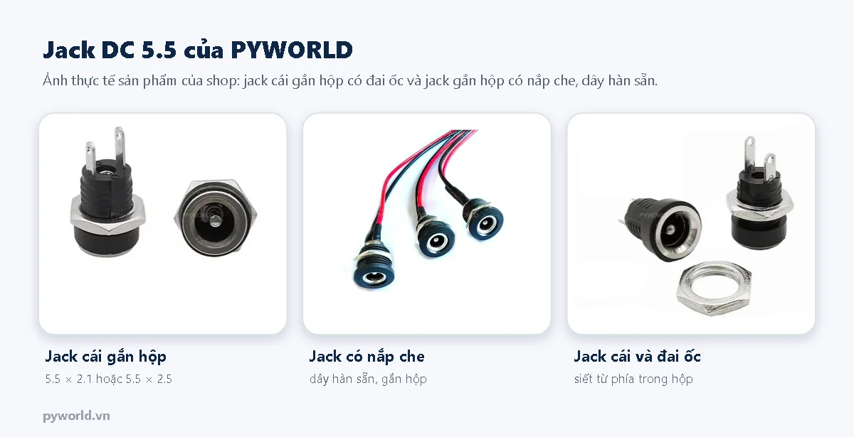 Jack DC 5.5 của PYWORLD: jack cái gắn hộp có đai ốc, jack gắn hộp có nắp che và dây hàn sẵn