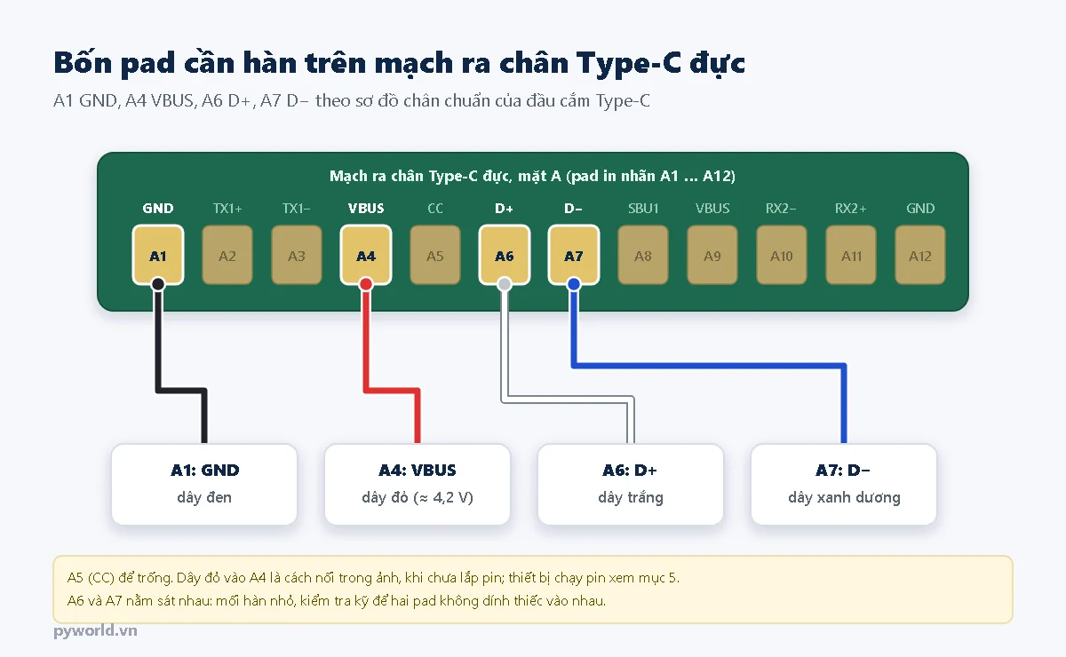Sơ đồ mạch ra chân Type-C đực mặt A với 12 pad A1 đến A12, dây đen hàn vào A1 GND, dây đỏ vào A4 VBUS, dây trắng vào A6 D+, dây xanh dương vào A7 D−