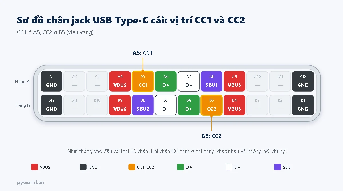Sơ đồ chân jack USB Type-C cái loại 16 chân, hai chân CC được viền vàng: CC1 ở A5 thuộc hàng A và CC2 ở B5 thuộc hàng B