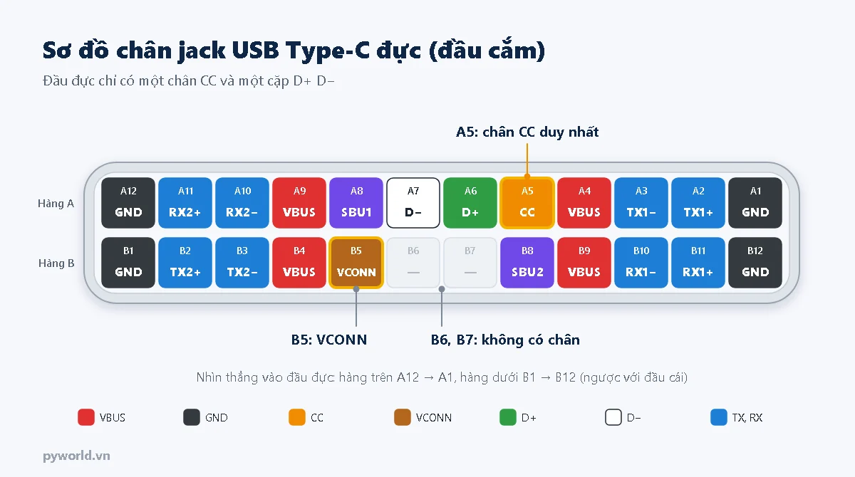 Sơ đồ chân jack USB Type-C đực nhìn thẳng vào đầu cắm: hàng trên A12 đến A1, hàng dưới B1 đến B12, chân CC ở A5, VCONN ở B5, không có chân B6 và B7