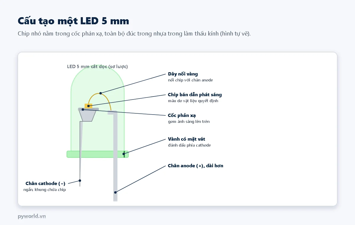 Hình vẽ LED 5 mm cắt dọc: chip bán dẫn phát sáng nằm trong cốc phản xạ trên khung chân cathode ngắn, dây nối vàng nối chip với chân anode dài hơn, vành nhựa có mặt vát đánh dấu phía cathode, toàn bộ đúc trong nhựa trong