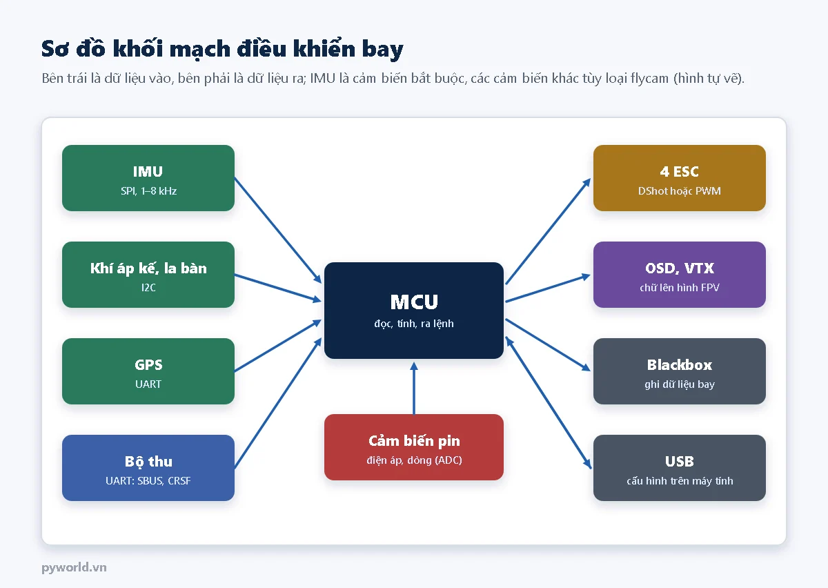 Sơ đồ khối: IMU qua SPI, khí áp kế và la bàn qua I2C, GPS qua UART, bộ thu qua UART đi vào MCU; cảm biến pin đo điện áp, dòng qua ADC; MCU ra 4 ESC bằng DShot hoặc PWM, ra OSD và VTX, ghi blackbox, giao tiếp USB với máy tính