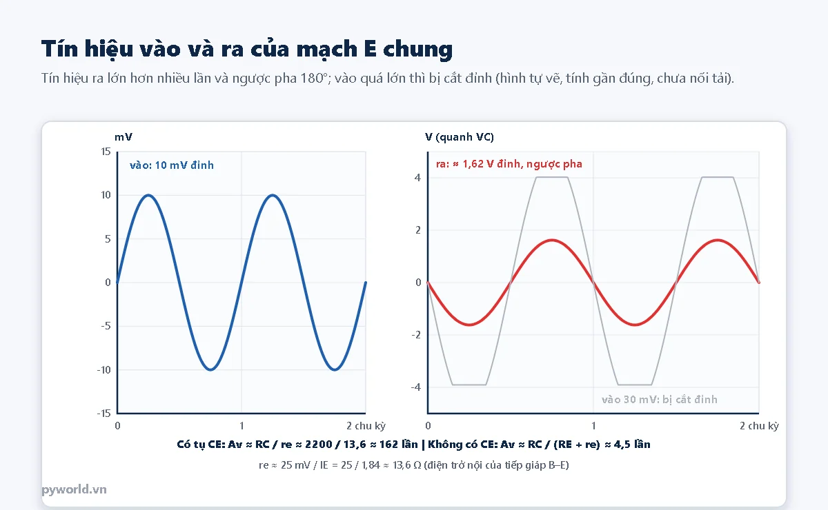Bên trái tín hiệu vào hình sin 10 mV đỉnh; bên phải tín hiệu ra khoảng 1,62 V đỉnh quanh điện áp collector, ngược pha với tín hiệu vào, và tín hiệu ra màu xám khi vào 30 mV bị cắt phẳng ở khoảng cộng trừ 4 V; công thức hệ số khuếch đại có tụ CE khoảng 162 lần, không có CE khoảng 4,5 lần