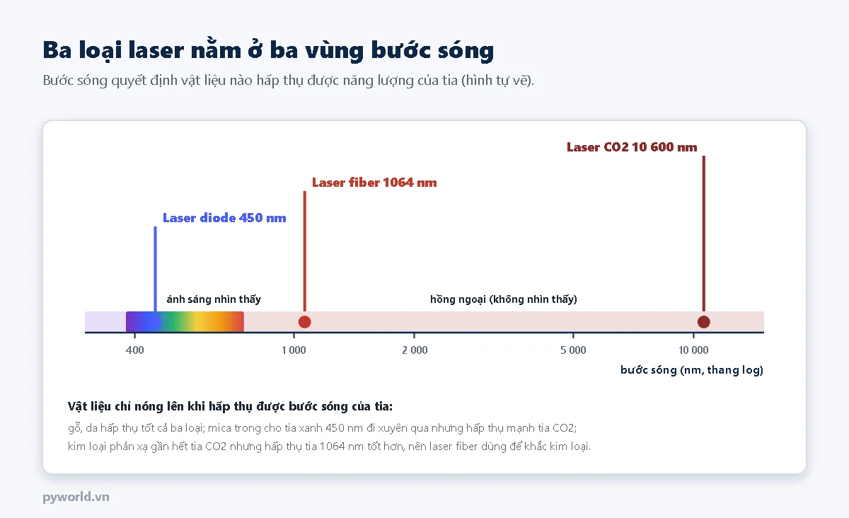 Trục bước sóng thang log từ 400 đến 10000 nm: laser diode 450 nm trong vùng ánh sáng nhìn thấy, laser fiber 1064 nm và laser CO2 10600 nm trong vùng hồng ngoại