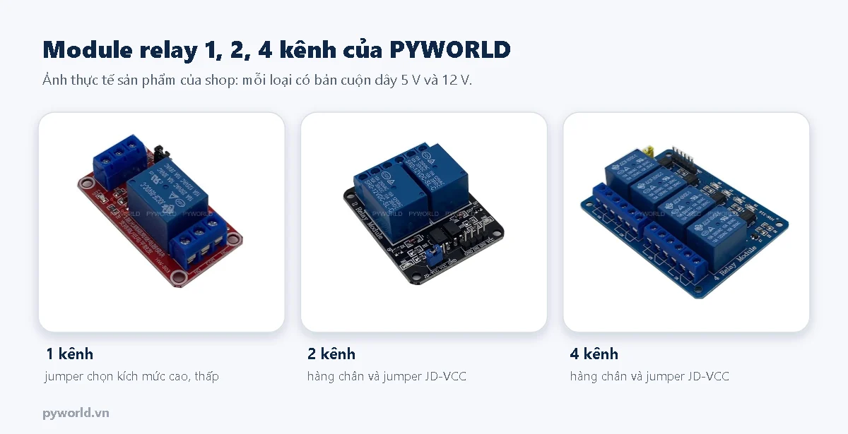 Module relay 1 kênh nền đỏ, 2 kênh nền đen và 4 kênh nền xanh của PYWORLD