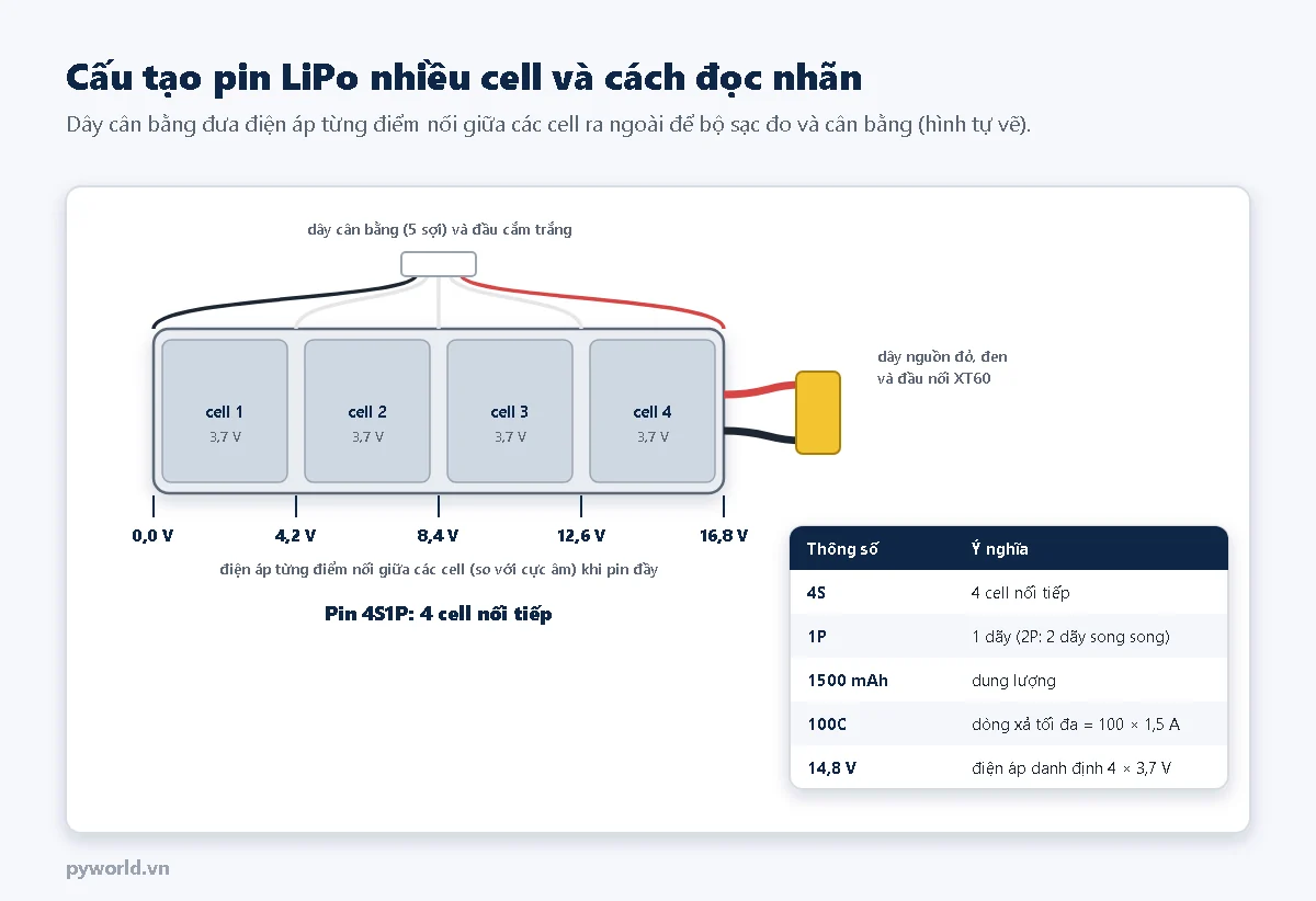 Pin 4S1P gồm 4 cell nối tiếp, dây nguồn đỏ đen và đầu nối XT60, dây cân bằng 5 sợi với điện áp các điểm nối 0, 4,2, 8,4, 12,6 và 16,8 V khi pin đầy; bảng giải thích 4S, 1P, 1500 mAh, 100C, 14,8 V