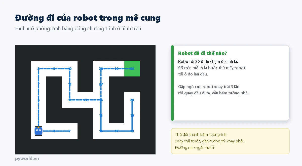 Mê cung với đường đi nét đứt màu xanh của robot, các số ghi bước thứ mấy robot tới mỗi ô; robot vào ngõ cụt ở hàng dưới rồi quay ra, đi lên cột bên trái, qua giữa và tới ô xanh lá sau 30 bước