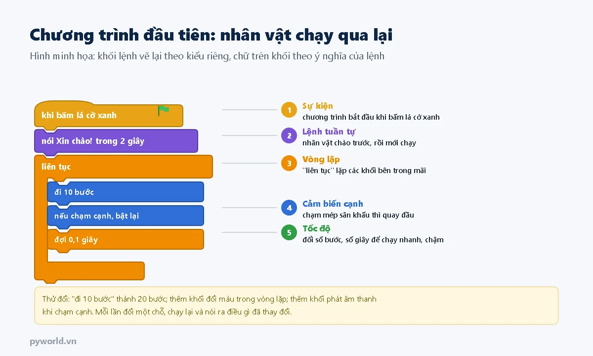 Chương trình Scratch đầu tiên vẽ lại bằng khối lệnh: khi bấm lá cờ xanh, nói Xin chào trong 2 giây, liên tục đi 10 bước, nếu chạm cạnh thì bật lại, đợi 0,1 giây; kèm giải thích sự kiện, lệnh tuần tự, vòng lặp, cảm biến cạnh, tốc độ