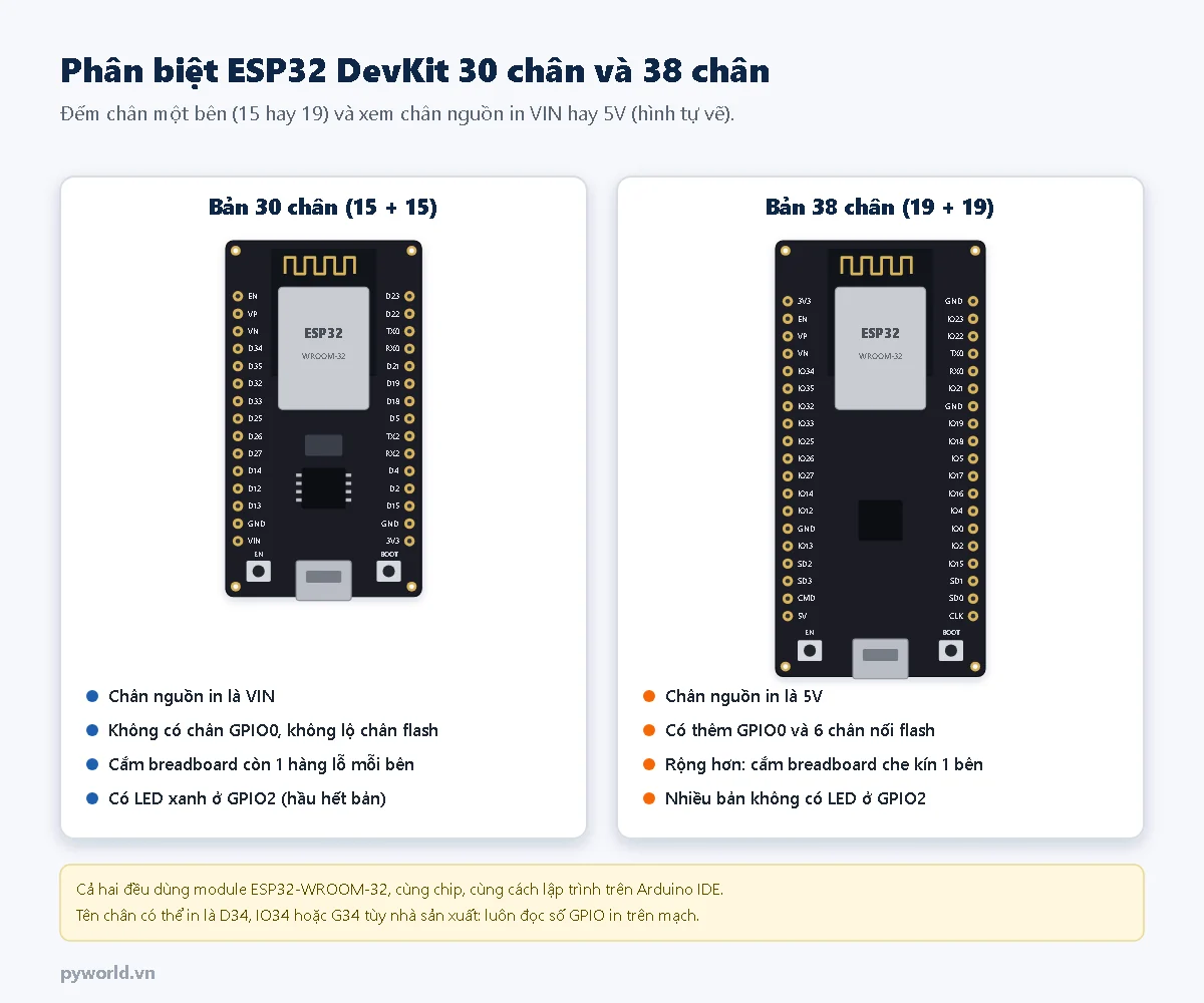 So sánh ESP32 DevKit 30 chân (15 chân mỗi bên, chân VIN) và ESP32 38 chân (19 chân mỗi bên, chân 5V, có thêm GPIO0 và 6 chân nối flash)