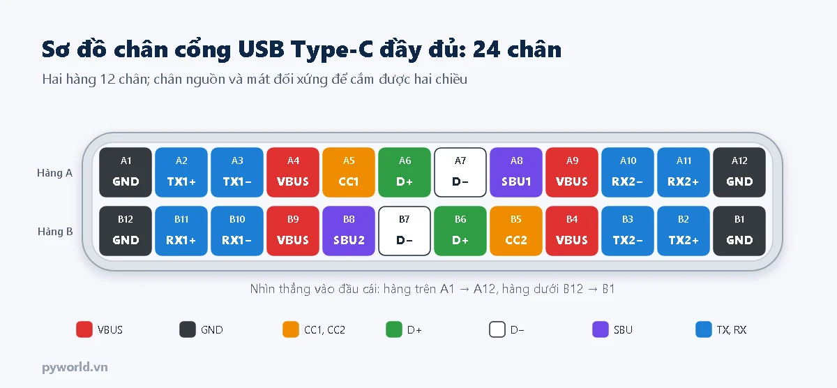 Sơ đồ chân cổng USB Type-C đầu cái 24 chân: hàng A từ A1 đến A12 và hàng B từ B12 đến B1, tô màu theo nhóm VBUS, GND, CC, D+ D−, SBU, TX RX