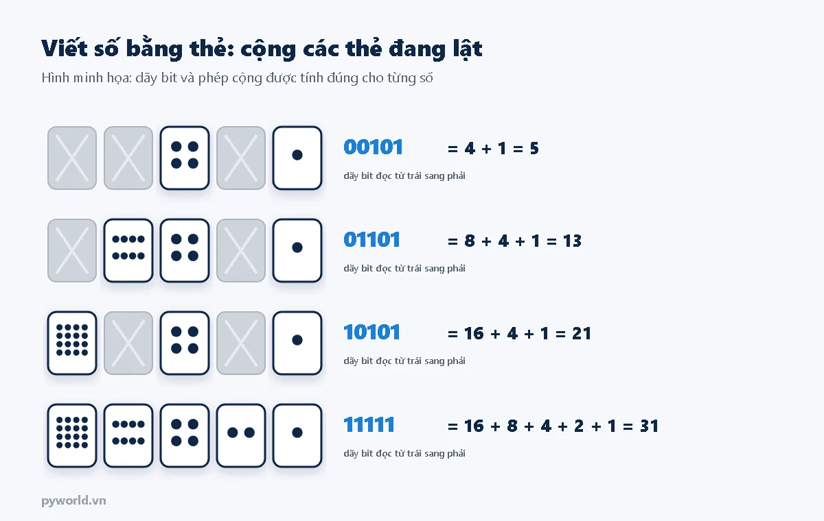 Bốn ví dụ viết số bằng thẻ: 00101 bằng 4 cộng 1 bằng 5; 01101 bằng 8 cộng 4 cộng 1 bằng 13; 10101 bằng 16 cộng 4 cộng 1 bằng 21; 11111 bằng 31