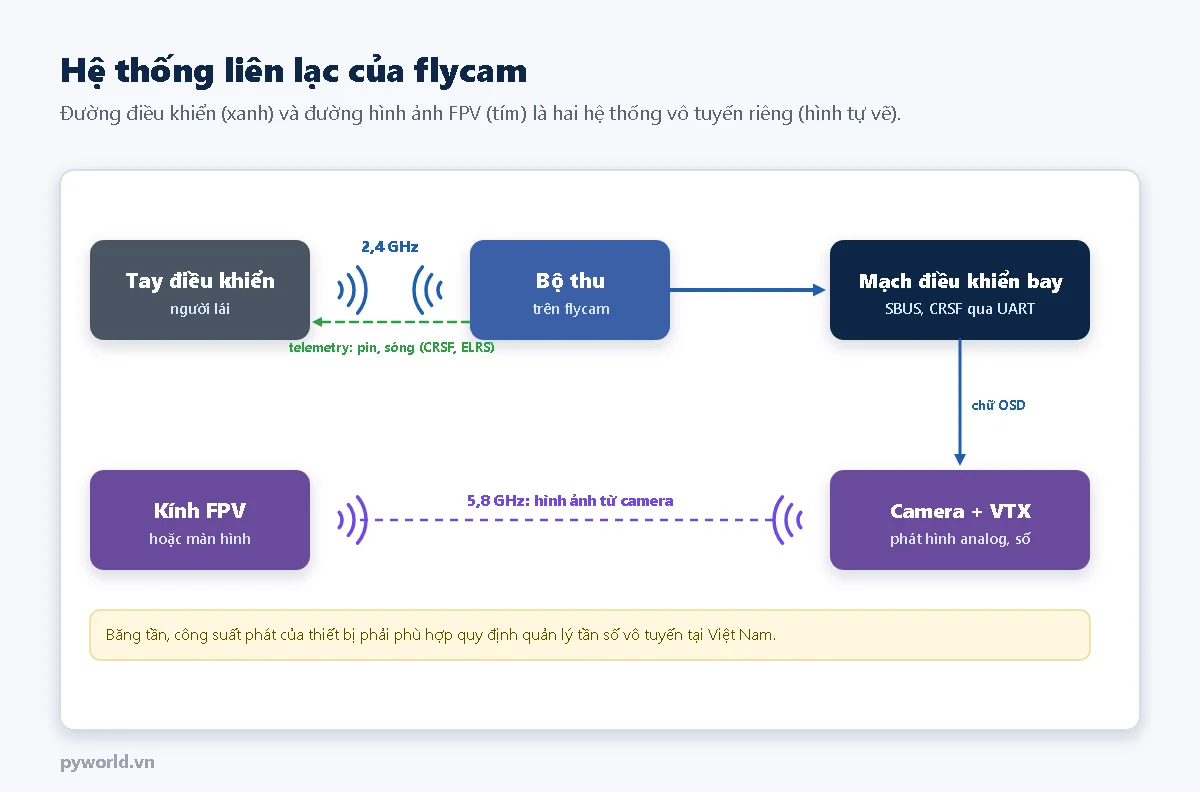 Sơ đồ: tay điều khiển gửi lệnh qua sóng 2,4 GHz tới bộ thu, bộ thu nối mạch điều khiển bay bằng SBUS hoặc CRSF, telemetry pin và sóng gửi ngược về tay điều khiển; mạch điều khiển bay đưa chữ OSD sang camera và VTX, VTX phát hình 5,8 GHz về kính FPV