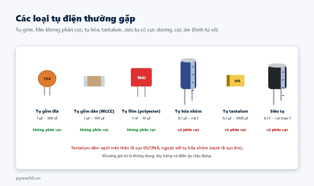 Sáu loại tụ vẽ minh họa: tụ gốm đĩa mã 104 từ 1 pF tới 100 nF; tụ gốm dán MLCC từ 1 pF tới 100 µF; tụ film polyester mã 104J từ 1 nF tới 10 µF, ba loại này không phân cực; tụ hóa nhôm từ 0,1 µF tới vài F, tụ tantalum từ 0,1 µF tới 1000 µF và siêu tụ từ 0,1 F tới vài trăm F có phân cực; lưu ý vạch trên tụ tantalum dán là cực dương