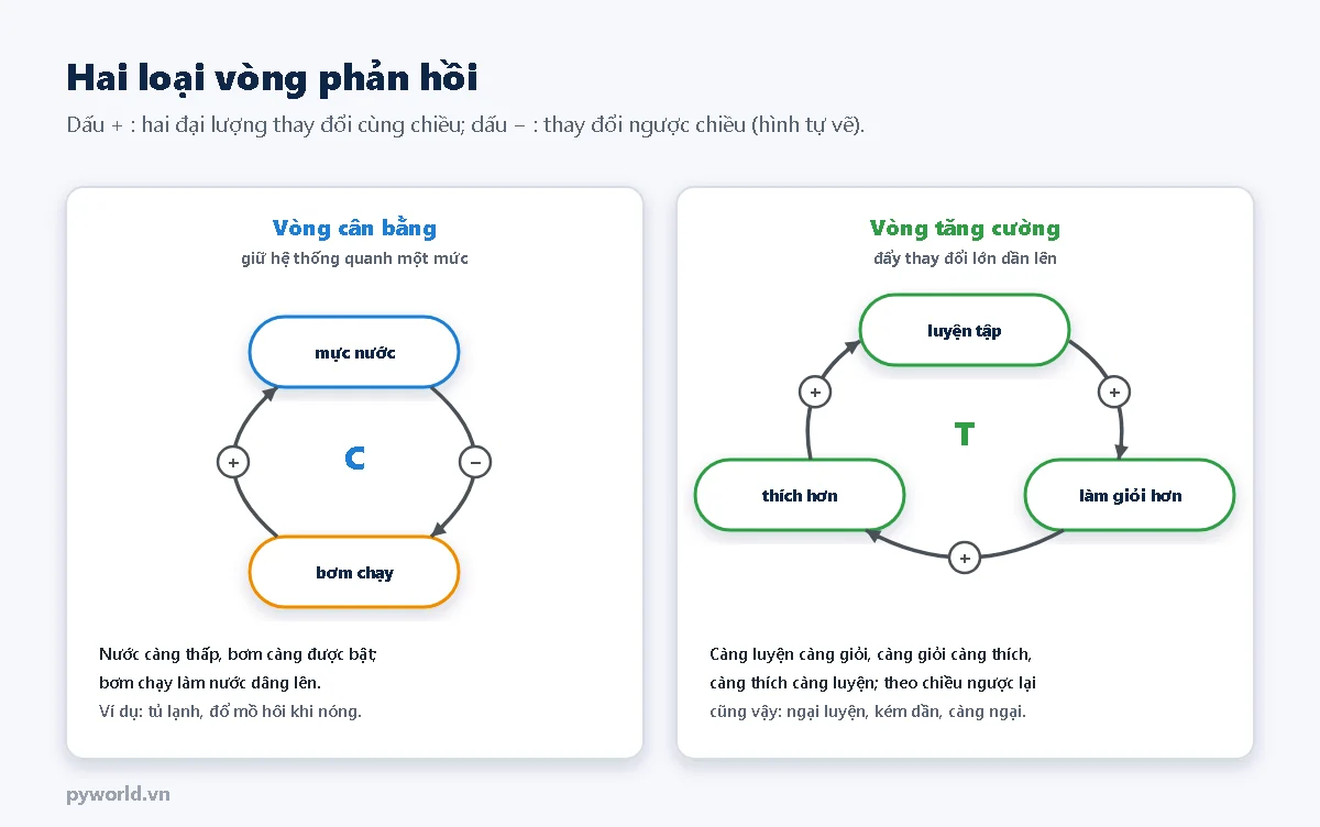 Hai sơ đồ vòng: vòng cân bằng giữa mực nước và bơm chạy với một dấu trừ và một dấu cộng; vòng tăng cường giữa luyện tập, làm giỏi hơn, thích hơn với ba dấu cộng
