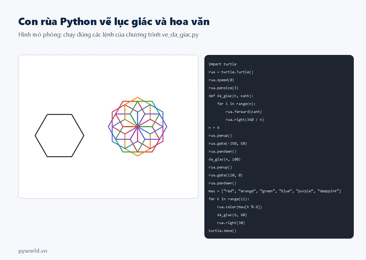 Bên trái là hình do con rùa Python vẽ: một lục giác đen và hoa văn 12 lục giác nhiều màu; bên phải là chương trình ve_da_giac.py có hàm da_giac lặp n lần đi tới và xoay phải 360 chia n độ