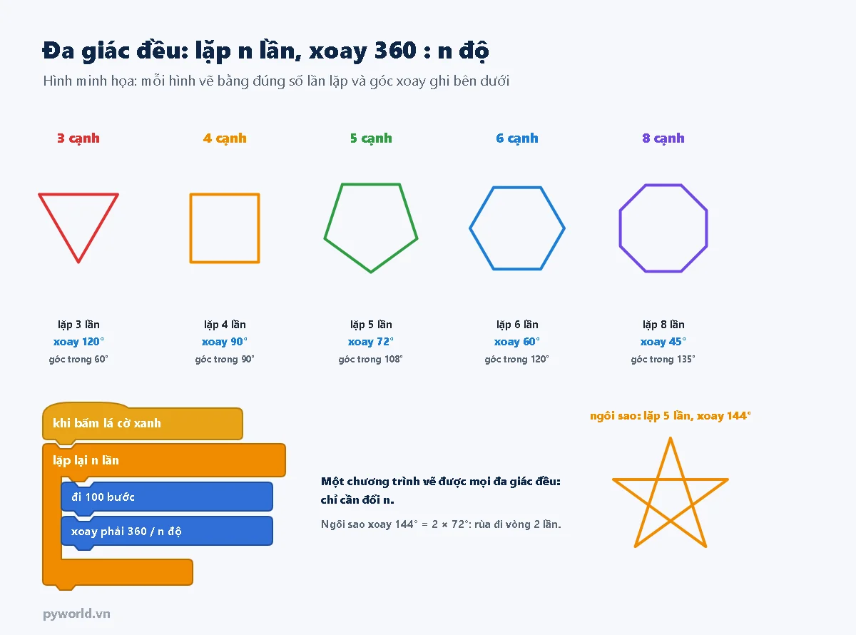 Đa giác đều 3, 4, 5, 6, 8 cạnh với số lần lặp, góc xoay 120, 90, 72, 60, 45 độ và góc trong 60, 90, 108, 120, 135 độ; ngôi sao năm cánh lặp 5 lần xoay 144 độ; khối lệnh lặp lại n lần đi 100 bước xoay phải 360 chia n độ
