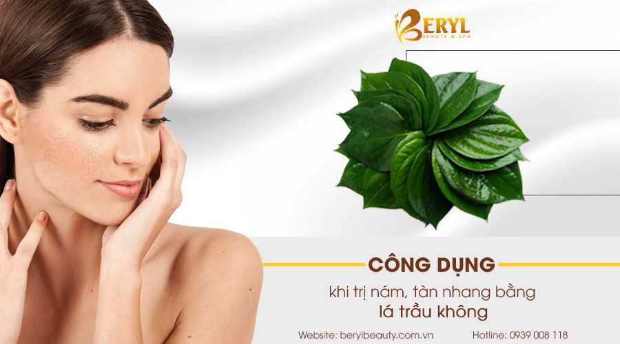 Công dụng tuyệt vời của lá trầu không khi trị nám, tàn nhang Công dụng tuyệt vời của lá trầu không khi trị nám, tàn nhang