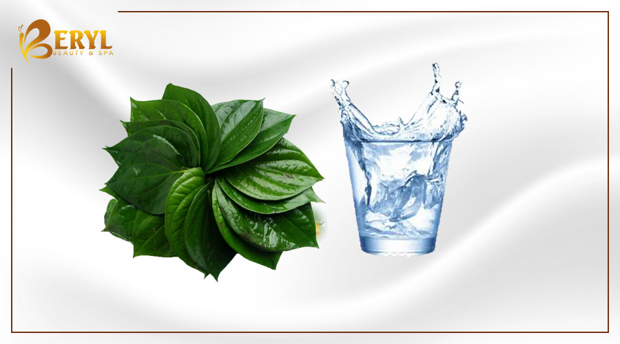 Lá trầu không trị nám tàn nhang cực hiệu quả Lá trầu không trị nám tàn nhang cực hiệu quả