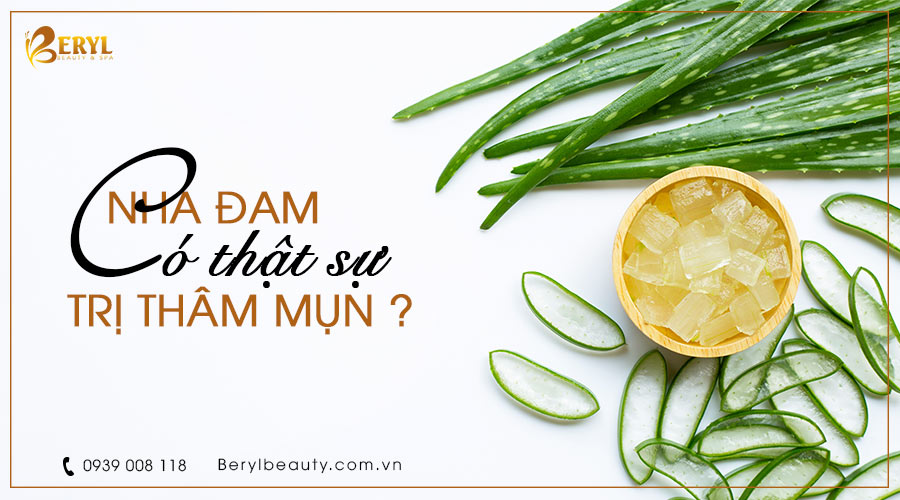 Nha đam có thật sự trị thâm mụn không? Nha đam có thật sự trị thâm mụn không?