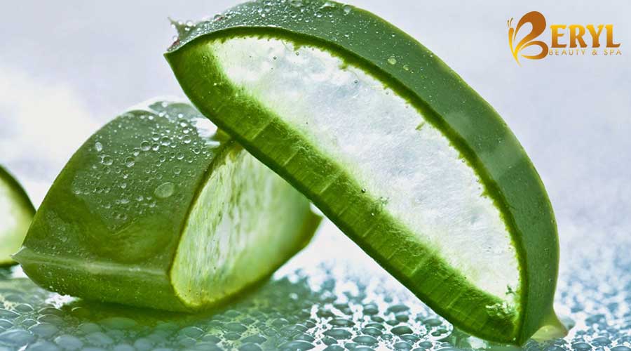 Nha đam trị nám chân sâu rất tốt Nha đam trị nám chân sâu rất tốt