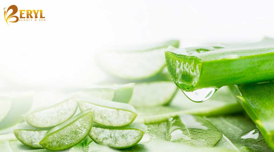 Hiệu quả khi trị thâm mụn bằng nha đam Hiệu quả khi trị thâm mụn bằng nha đam