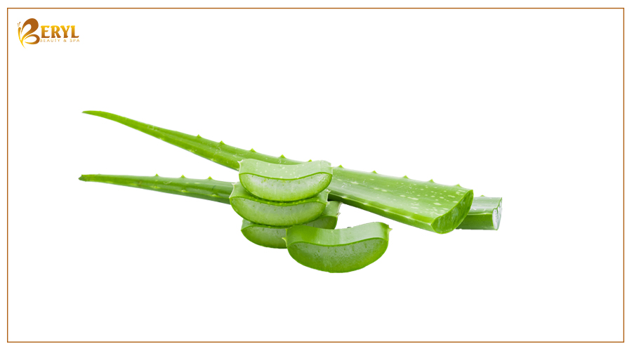 Nha đam tươi trị thâm mụn cực hiệu quả Nha đam tươi trị thâm mụn cực hiệu quả